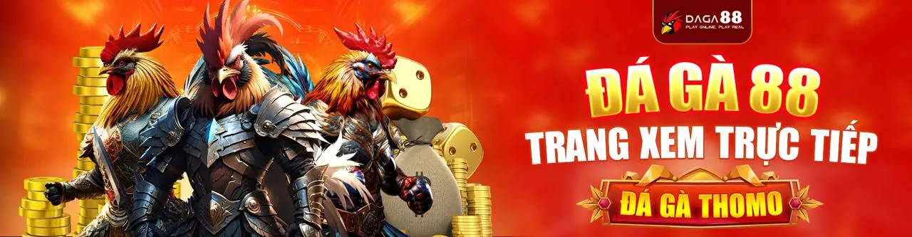 Đá Gà Trực Tuyến VN999