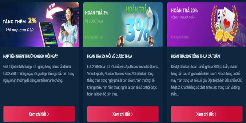 Tìm hiểu về chương trình VIP vn999